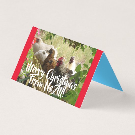 Kippen roosters Merry uit ons kerstkaartje Kaart (Voorkant)