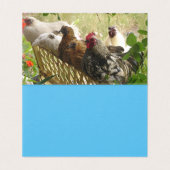 Kippen roosters Merry uit ons kerstkaartje Kaart (Binnenkant ongevouwen)