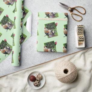 **"Kippen Spel: Kippetje verstoppertje in 3D"** Cadeaupapier