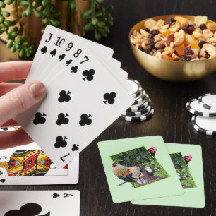 **"Kippen Spel: Kippetje verstoppertje in 3D"** Pokerkaarten
