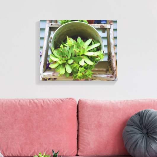 kippen Succulenten Fotoolie Schilderen Canvas Afdruk (Insitu (Woonkamer))