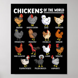 Kippen Van De Wereld Boerderijdier Liefhebber Educ Poster