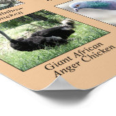 Kippen van het Wereld Humoureus Poster (Hoek)