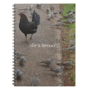 Kippen Vogels Kauai (mijn fotografie) Notitieboek