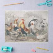 kippen Weefsel- of ontkoppelpapier Tissuepapier (Craft)