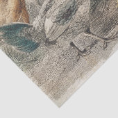 kippen Weefsel- of ontkoppelpapier Tissuepapier (Detail)