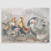 kippen Weefsel- of ontkoppelpapier Tissuepapier (Voorkant)