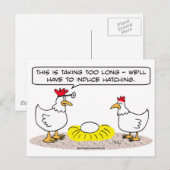 kippenarts laat broedei zien briefkaart (Voorkant / Achterkant)