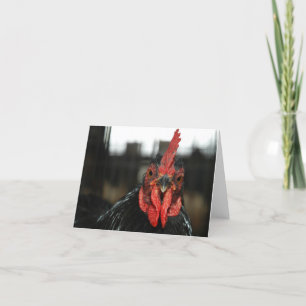 KIPPENBRIEFKAART KAART