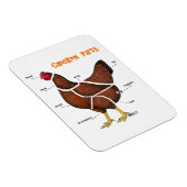 Kippendelen Magneet (Rechterzijde)