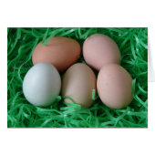 Kippeneieren (Voorkant Horizontaal)