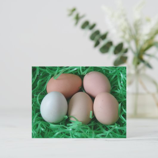 Kippeneieren Briefkaart (Staand voorkant)