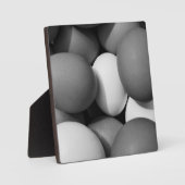 Kippeneieren in zwart-wit fotoplaat (Voorkant)