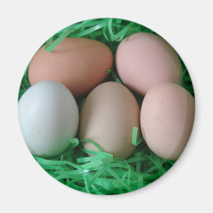 Kippeneieren Magneet