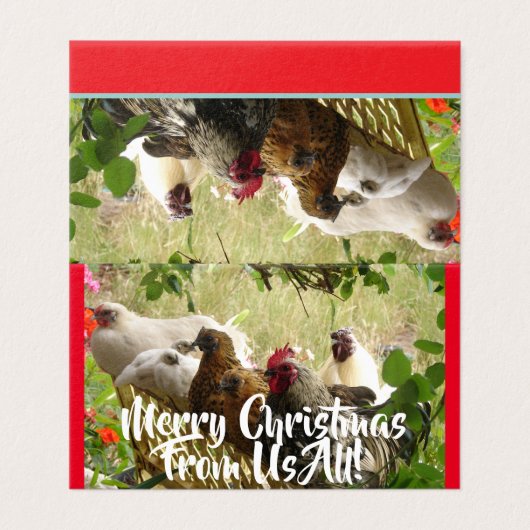 Kippenhanen Hanen Vrolijk Van Ons Alle Kerst Kaart (Buitenkant ongevouwen)