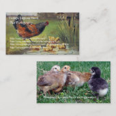  kippenitems en fotografie visitekaartje (Voorkant / Achterkant)