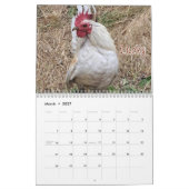 Kippenkalender 2026 kalender (Mar 2027)