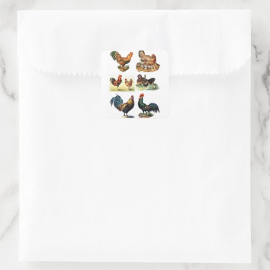 kippenontwerp vierkante sticker (Tas)
