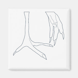 kippenpootjes magneet