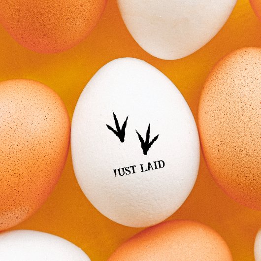 Kippenpoten "Just laid" Mini Kip Ei Stamp Rubberstempel
