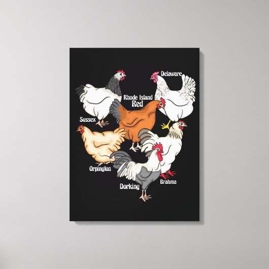 Kippenrassen Kipliefhebber Gift Mannen Kippen Canvas Afdruk (Voorkant)