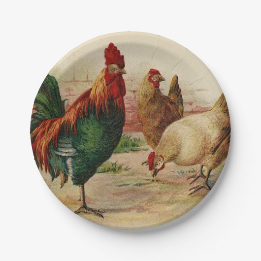 kippenrooster voor alle doeleinden bord (Voorkant)