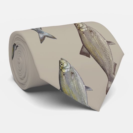 KIPPER HARINGVISLOOD STROPDAS (Opgerold)