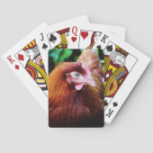 Kipspatcards Pokerkaarten (Achterkant)