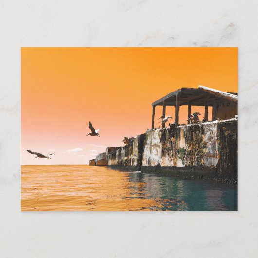 kiptopeke betonschepen en briden dreamdaze briefkaart (Voorkant)