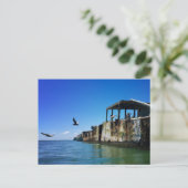 kiptopeke betonschepen en zeegarren briefkaart (Staand voorkant)