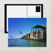 kiptopeke betonschepen en zeegarren briefkaart (Voorkant / Achterkant)