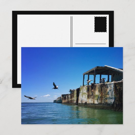 kiptopeke betonschepen en zeegarren briefkaart (Voorkant / Achterkant)