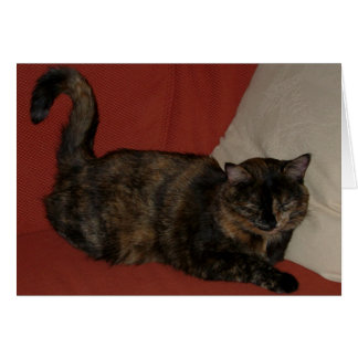Kira 01