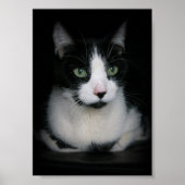 Kirby Poster (Voorkant)