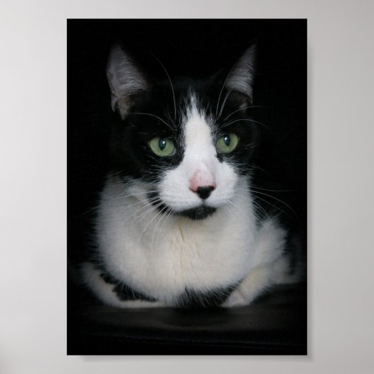 Kirby Poster (Voorkant)