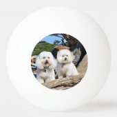 Kirby Shelby - Poodles op Carmel Beach Pingpongbal (Achterkant)