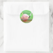 Kirby - sticker (Tas)