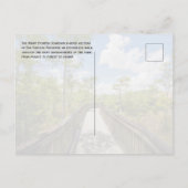 Kirby Storter Boardwalk, Big Cypress NP, Florida Briefkaart (Achterkant)