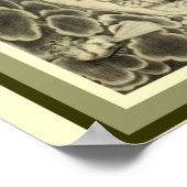 Kircher's "Mundus Subterraneus" -Water 16 x 20 Poster (Hoek)