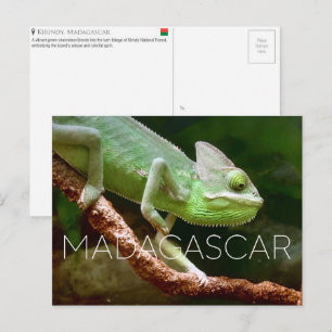 Kirindy, Madagaskar Reisansichtkaart Briefkaart