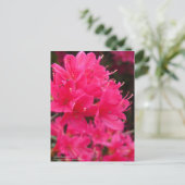 Kirishima Azalea Briefkaart (Staand voorkant)