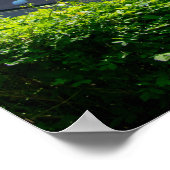 Kirklees Stadium, Huddersfield Poster (Hoek)