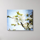 Kirschblüte Canvas Afdruk (Voorkant)