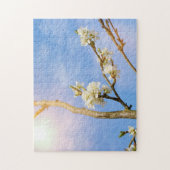 Kirschblüte Legpuzzel (Verticaal)