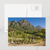 Kirstenbosch Botanic Gardens, Cape Town Briefkaart (Voorkant / Achterkant)