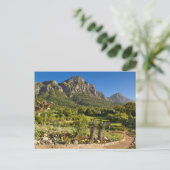 Kirstenbosch Botanic Gardens, Cape Town Briefkaart (Staand voorkant)