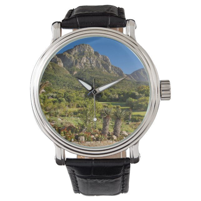 Kirstenbosch Botanic Gardens, Cape Town Horloge (Voorkant)