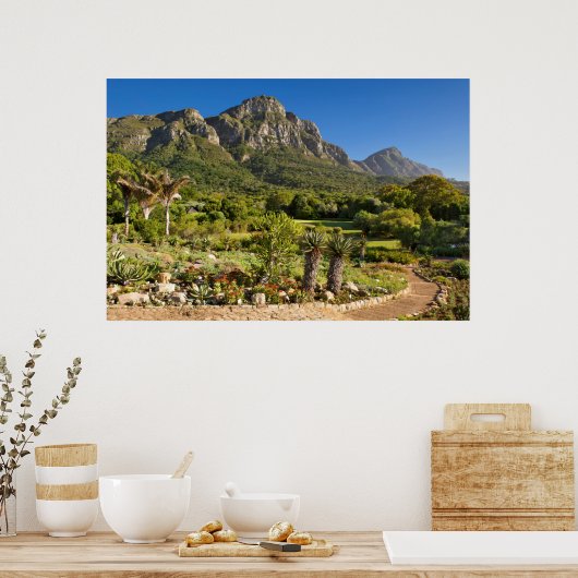 Kirstenbosch Botanic Gardens, Cape Town Poster (Keuken)