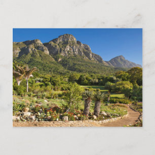Kirstenbosch Botanic Gardens, Kaapstad Briefkaart