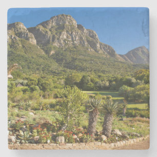 Kirstenbosch Botanic Gardens, Kaapstad Stenen Onderzetter